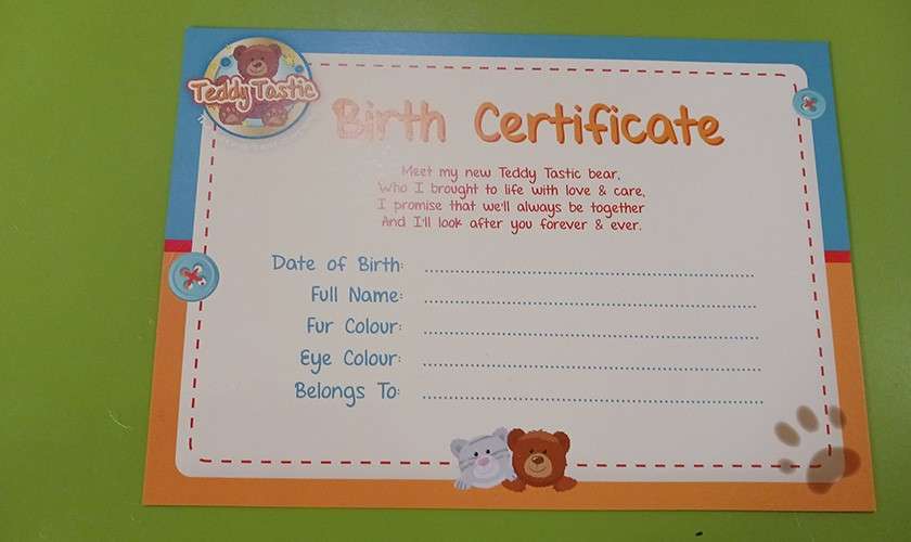 Colorful TeddyTastic birth certificate rests on a green surface, showing blank fields and a poem. Text: TeddyTastic. Birth Certificate. Meet my new Teddy Tastic bear Who I brought to life with love & care. I promise that we'll always be together and I'll look after you forever & ever. Date of Birth: Full Name: Fur Colour: Eye Colour: Belongs To:
