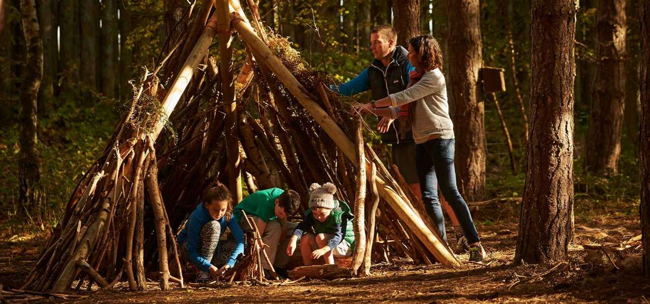 Group builds a teepee-style shelter with long sticks; children crouch arranging branches while adults prop logs, within a sunlit, dense pine forest scattered with dry leaves.