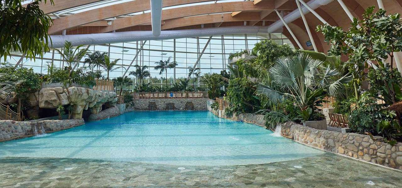 Wave pool sparkles, water gently rippling; surrounded by tropical plants, rock grotto, and waterslides beneath a high arched glass-and-wood roof in a bright indoor waterpark conservatory.