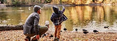 A little boy and his father feeding ducks by the lake.