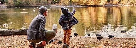 Child raises an arm, tossing food, while an adult crouches nearby; ducks gather at the rippling lakeshore amid fallen leaves, with autumn trees reflecting across the calm water.