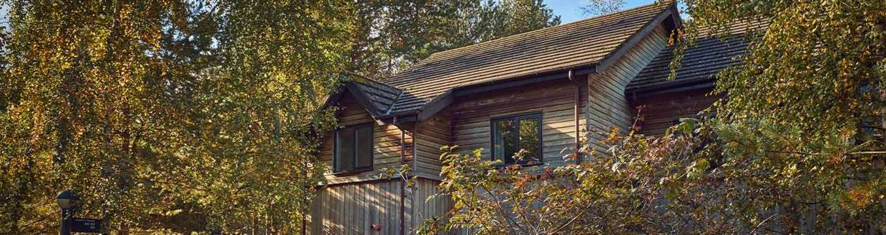 Wooden cabin stands partially hidden, surrounded by dense leafy trees. Sunlight filters through branches onto its shingled roof and windows, suggesting a secluded forest dwelling.