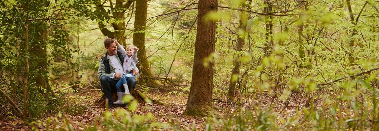 Parents walking with their young child through a forest in autumn
