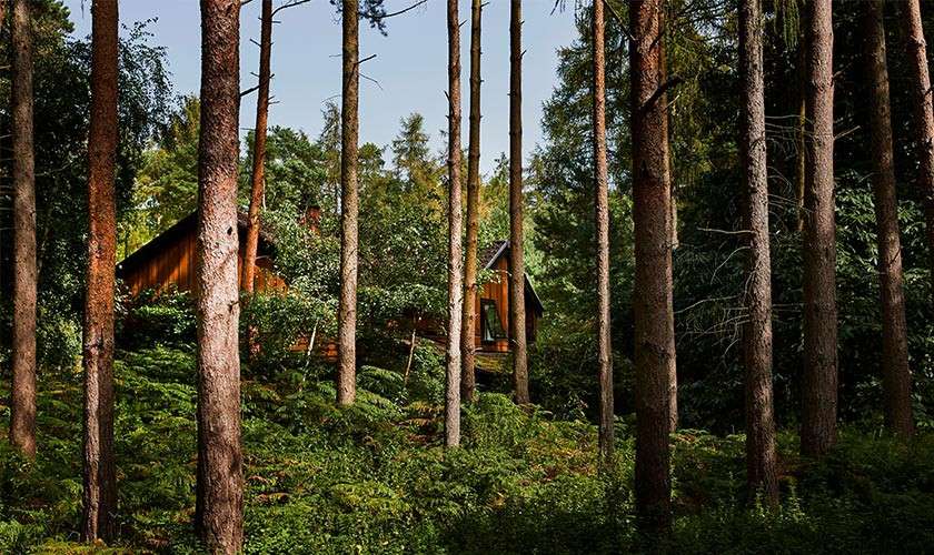 A lodge amongst the trees.