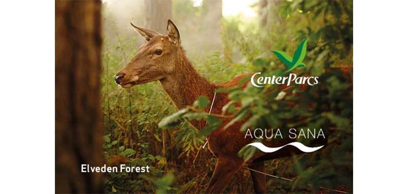 An image of the Elveden Forest gift card, a deer hiding in the trees