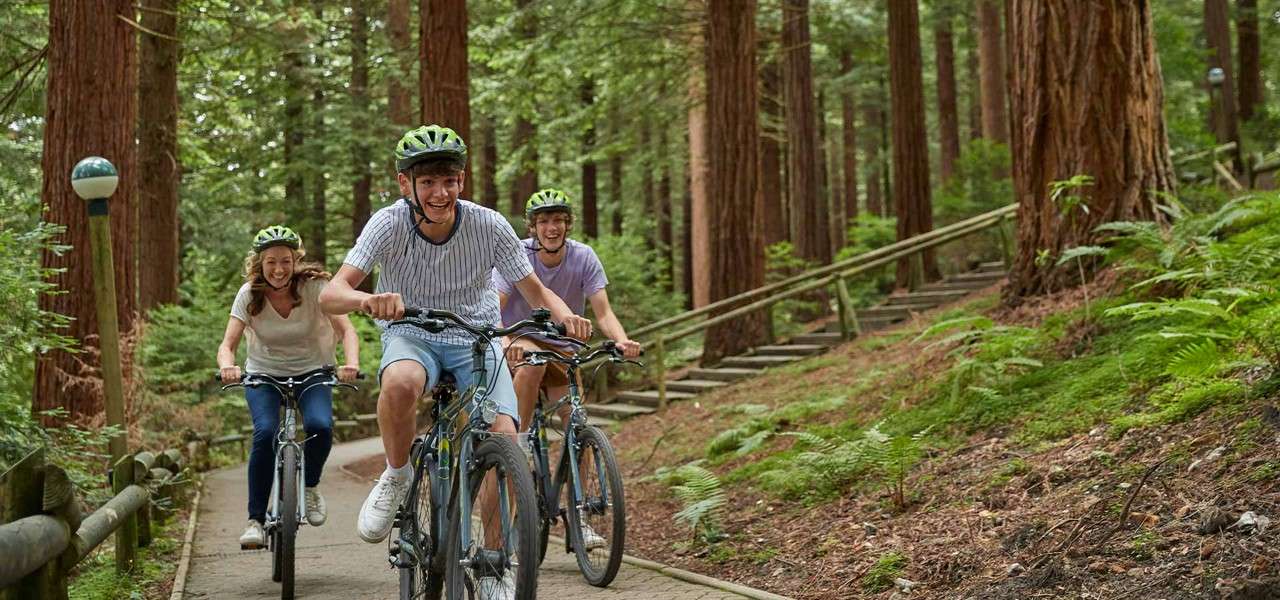 Three teenagers cycling together through the green woodland.