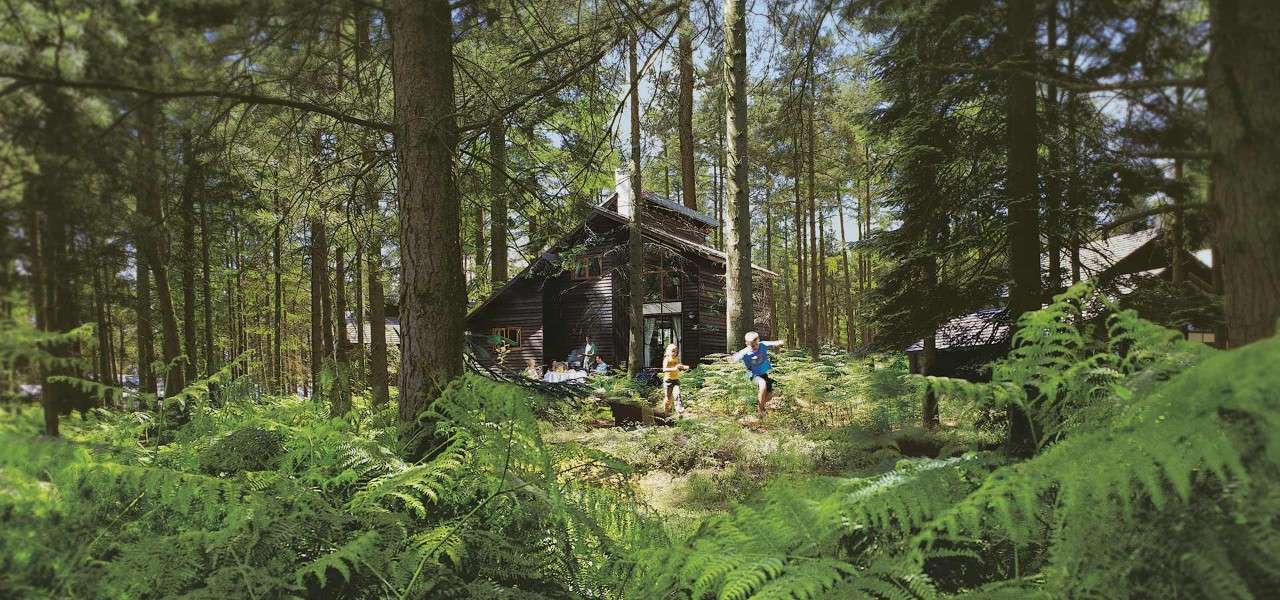 Family having a BBQ on patio area while children play in forest around them