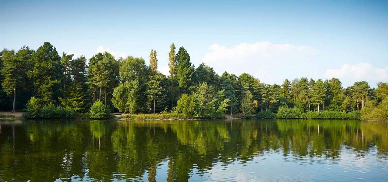 Tree-lined shoreline reflects on calm lake, doubling green foliage. Soft ripples move across water; bright sky with few clouds frames a serene, wooded park setting.