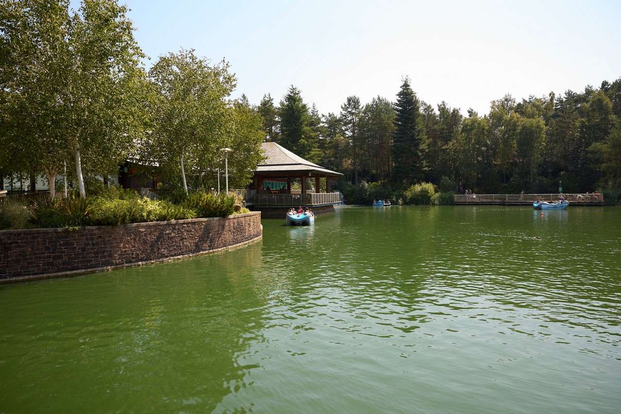 Tree-lined shoreline reflects on calm lake, doubling green foliage. Soft ripples move across water; bright sky with few clouds frames a serene, wooded park setting.