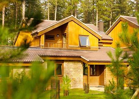Wooden chalet sits under tall pines, sunlit, with gabled roofs, balcony, and stone lower walls; young evergreens frame the foreground in a peaceful forest clearing.
