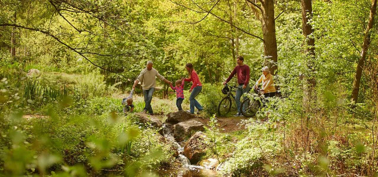 Family exploring nature walking through the forest