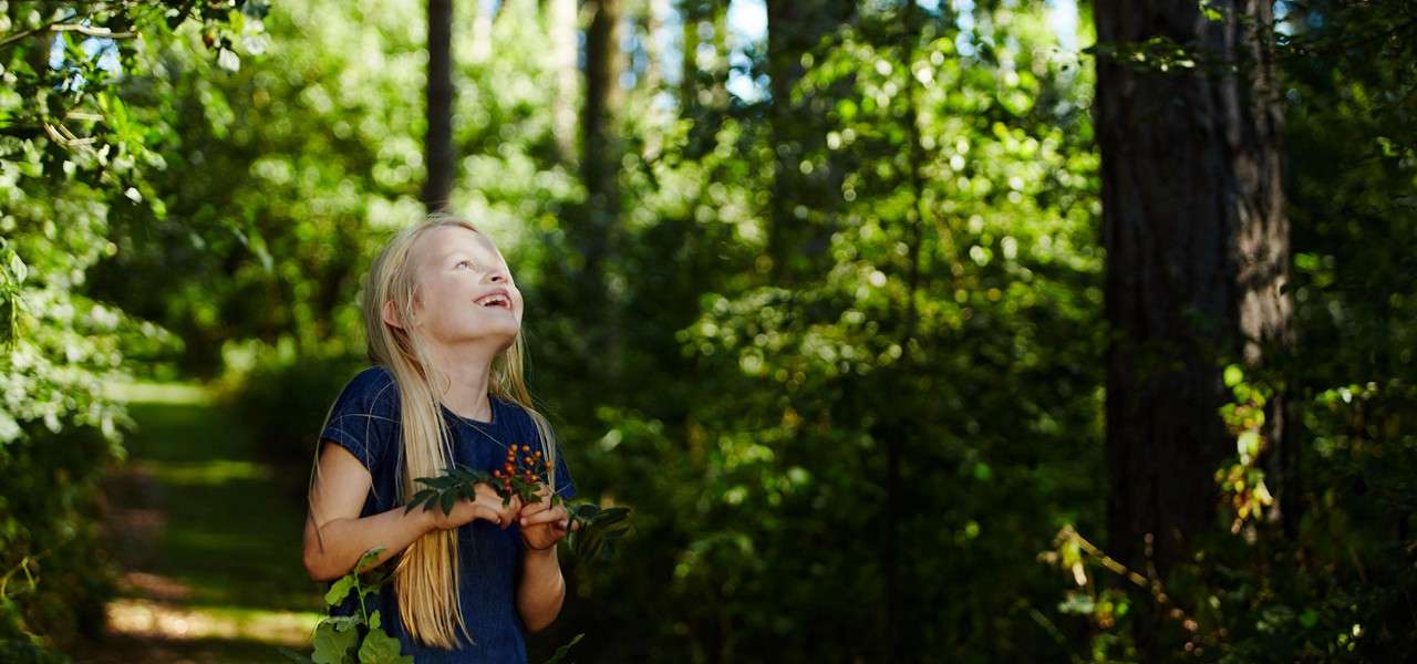 Child looks up smiling, holding leafy branches with red berries, standing on a sunlit forest path surrounded by tall trees and dense green foliage.