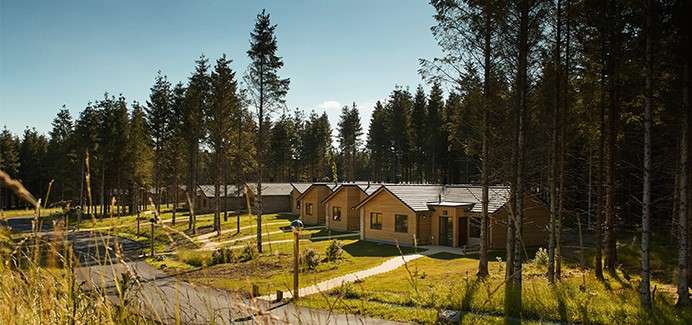 Lodges in the forest.