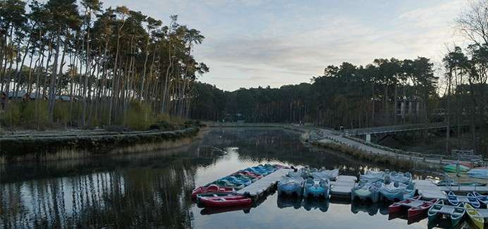 Woburn Forest lake with pedlos on it.