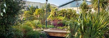 Tropical plants flourish, surrounding a small wooden footbridge and lamppost, in a landscaped garden adjacent to glass-roofed conservatory buildings.