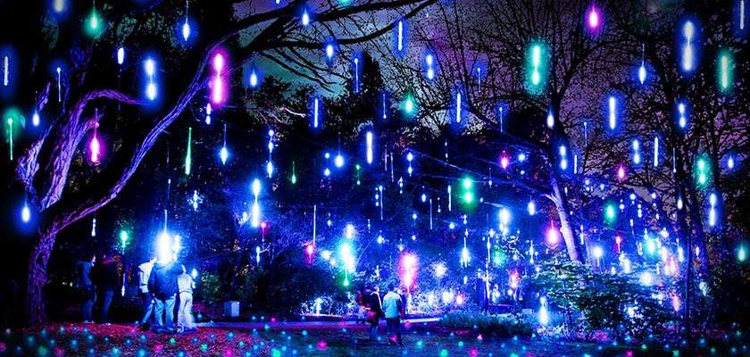 Hanging LED tubes glow, dripping like meteors; people walk beneath them; nighttime park with trees and scattered ground lights creates a colorful light installation.