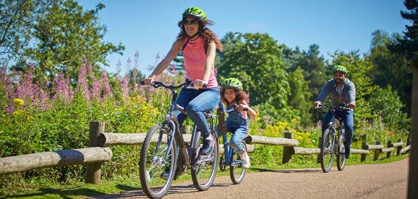 General news | Center Parcs