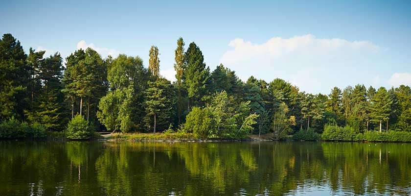 Trees reflect across calm lake water, forming a dense forested shoreline under a clear blue sky with scattered clouds.