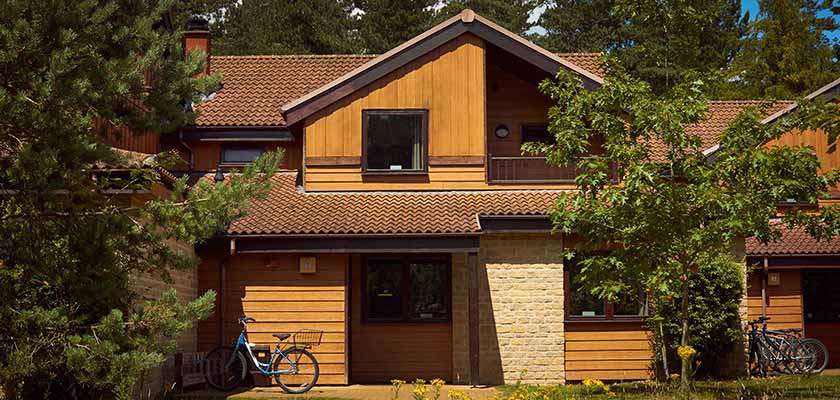 Wooden-clad house sits beneath a tiled gable roof, with two windows and a small balcony; bicycles lean by the entrance; shrubs and tall pines surround it in a quiet setting.