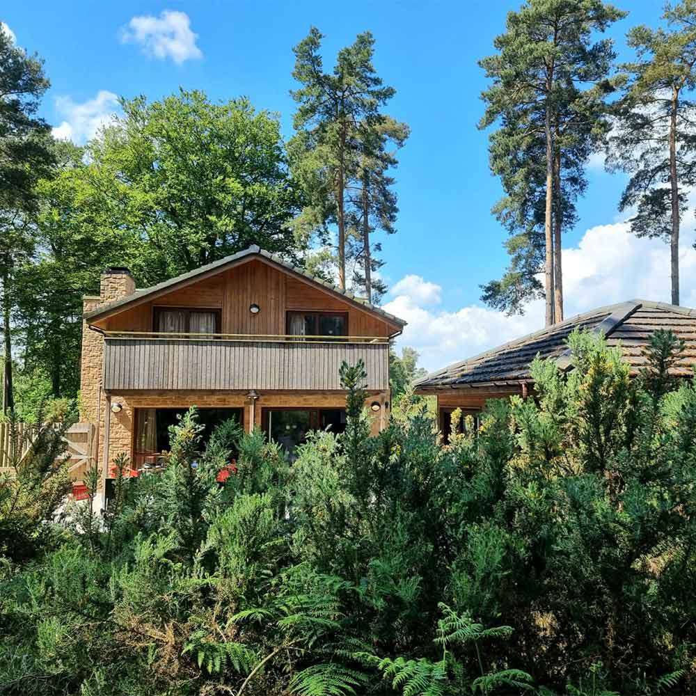 Wooden cabin stands partly hidden behind dense shrubs, featuring a balcony and large windows; adjacent outbuilding sits nearby, all set within tall pine trees under a blue, lightly clouded sky.
