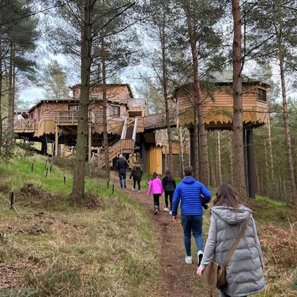 Group of people walk uphill toward elevated wooden treehouse cabins connected by walkways, in a dense pine forest with a dirt trail, mossy ground, and an overcast sky.