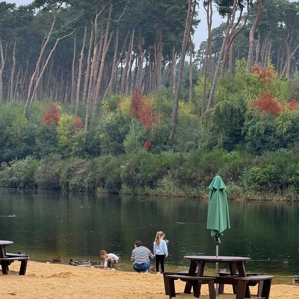 A parent and two children play by ducks at the water’s edge on a sandy lakeshore, with picnic tables, a closed green umbrella, water, and tall pines in autumn colors.