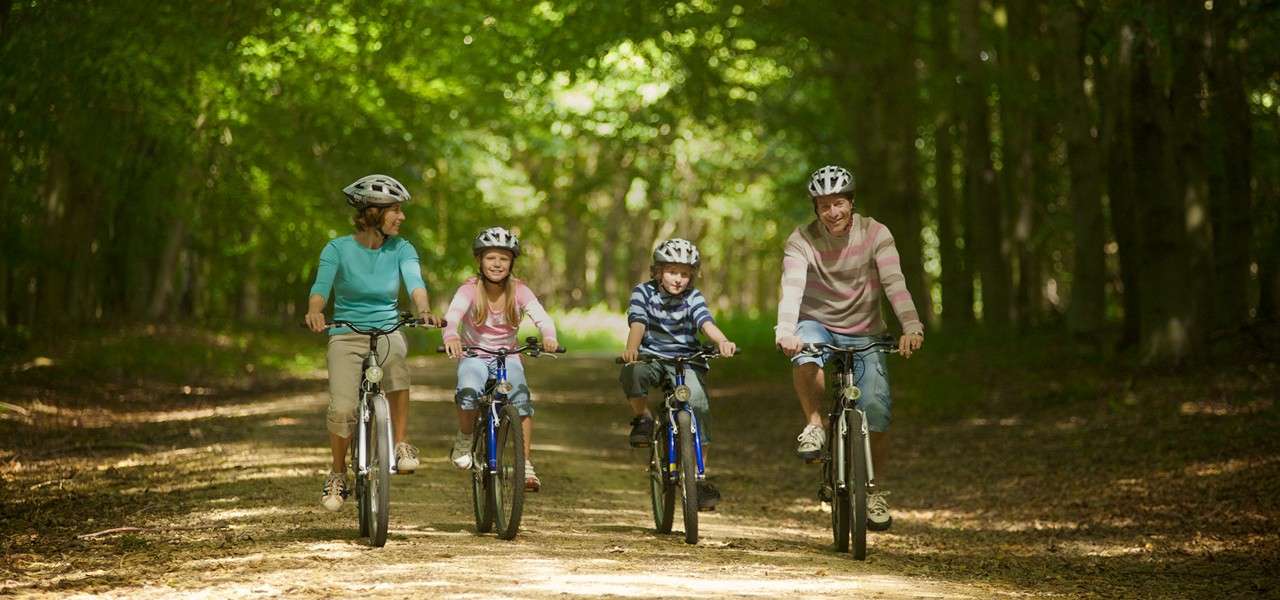 Four cyclists pedal side-by-side, wearing helmets, on a leafy dirt trail. Two adults flank two children. Sunlight filters through dense green trees, creating dappled light along the forest path.