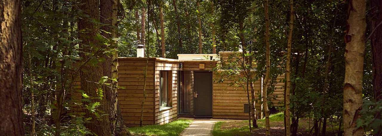 Wooden cabin sits nestled among tall trees, path leading to a dark front door and windows. Sunlight filters through dense forest, grass patches surrounding the compact, modern structure.
