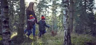Children in forest
