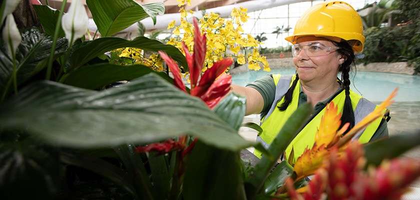 Woman working at the Subtropical Swimming Paradise tending to the tropical plants