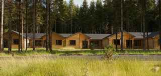 Longford forest