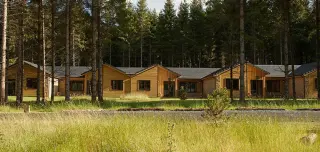 Longford forest