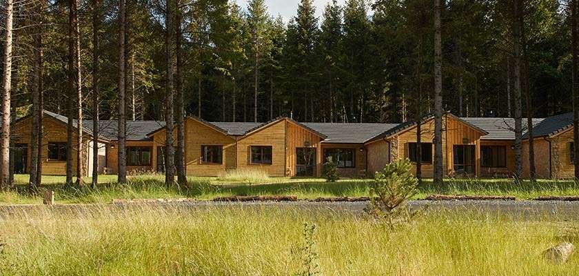 Row of accommodation in forest setting