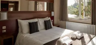 Briody bedding