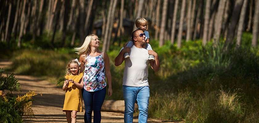 Family of four walking through the forest. Dad carries son on his shoulders and Mum walks with daughter on their left.