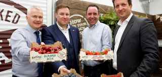 Irish food suppliers