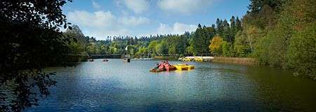 Colorful pedal boats glide across a calm lake, occupants leisurely paddling; surrounding forested banks and a distant bridge frame the water under a bright blue, partly cloudy sky.