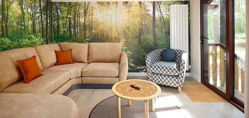 An aerial image of a lake surrounded by the forest.