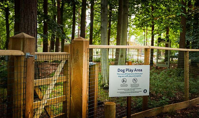 Wooden fenced gate and sign mark a dog enclosure; sign text: “Dog Play Area. This is an off-lead area where your dog can sniff, play and explore.” Additional small instructions/icons unreadable; forested park surrounds.