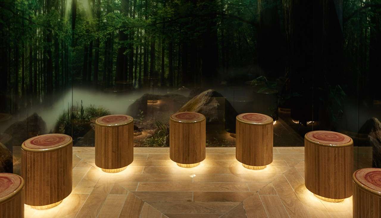 Tree stump style stools curving round a woodland decorated room.