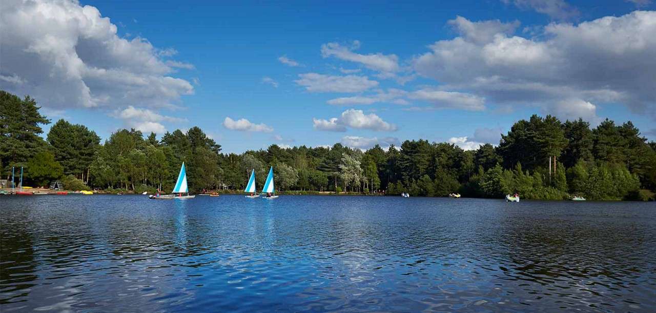 Sherwood Forest lake.