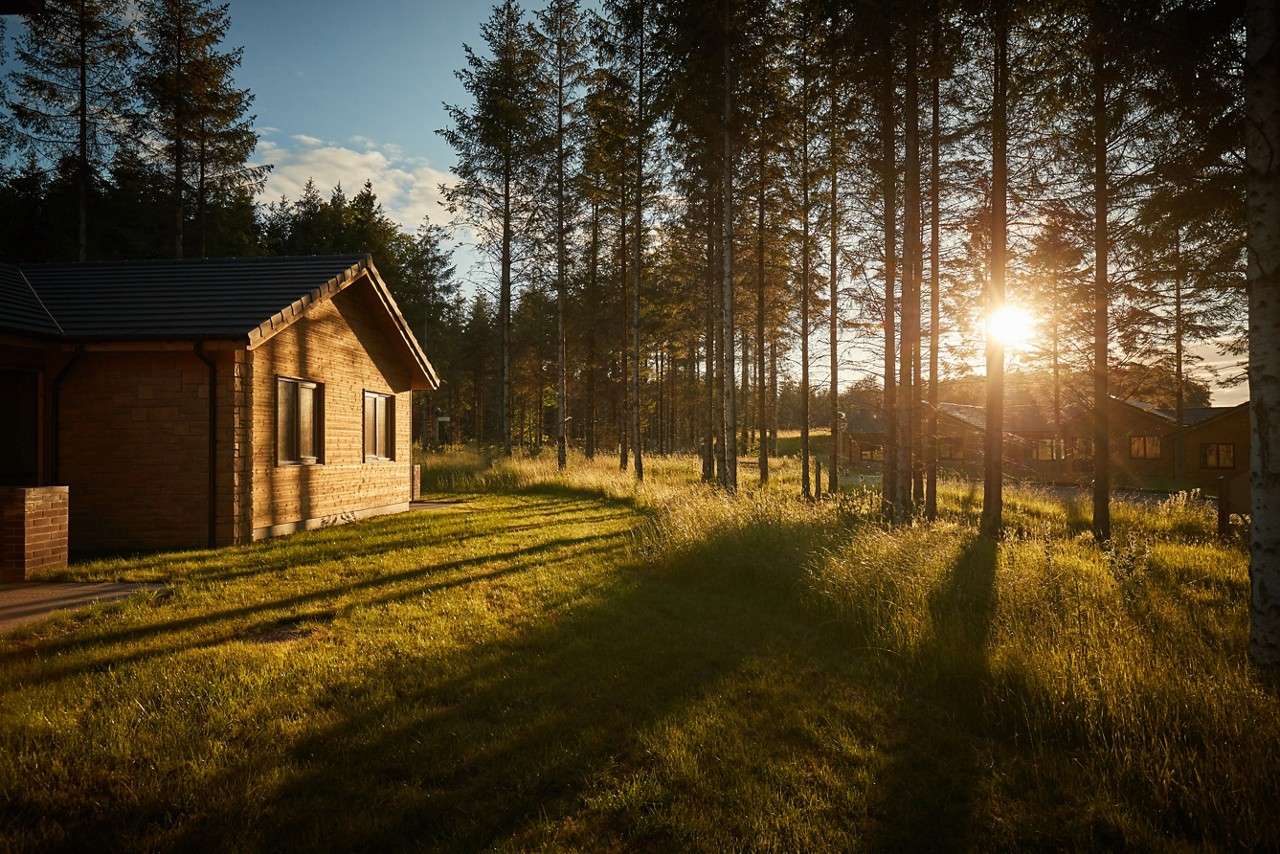 lodge in the middle of the forest with the sun shining through the trees casting golden shadows