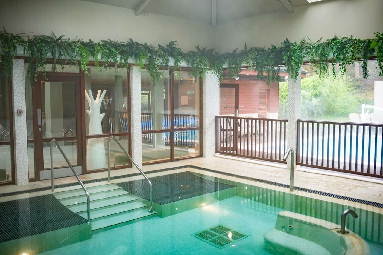 Two people looking for clues in a nature inspired escape room.