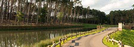 Winding paved path curves beside a calm pond, bordered by wooden posts; tall pine trees line the water’s opposite bank under a partly cloudy sky in a quiet parkland setting.