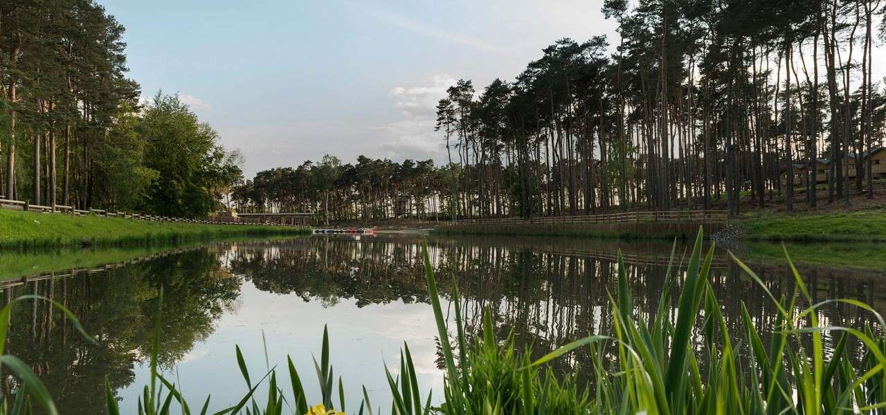 Woburn Forest lake with forest surrounding and Pancake house in background