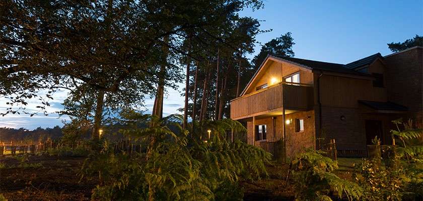 Wooden cabin glows with balcony and porch lights, standing still at dusk; surrounding tall pine trees, ferns, and a dimly lit path under a blue twilight sky.