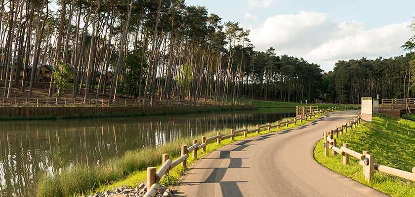 Curving paved road winds alongside a calm pond, bordered by short wooden post fences. Tall pine trees and scattered cabins line the opposite bank under a bright, partly cloudy sky.