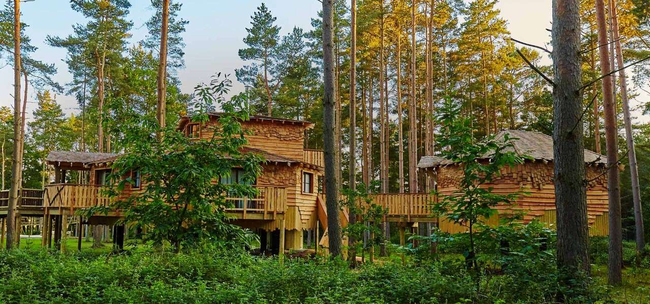 Woburn Forest Treehouse now available to book Center Parcs