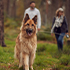 Mother and adult son walking through the forest with their dog