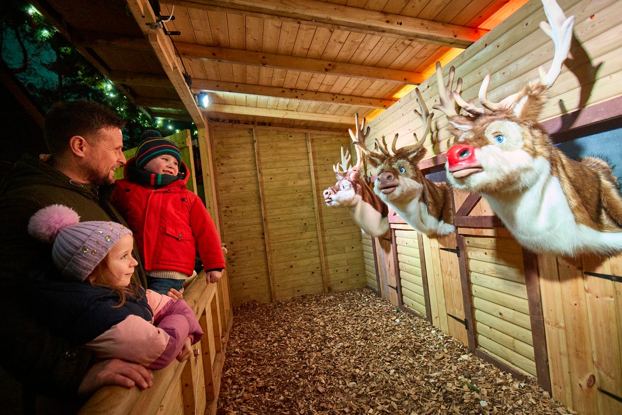 SF WWL - Singing Reindeer